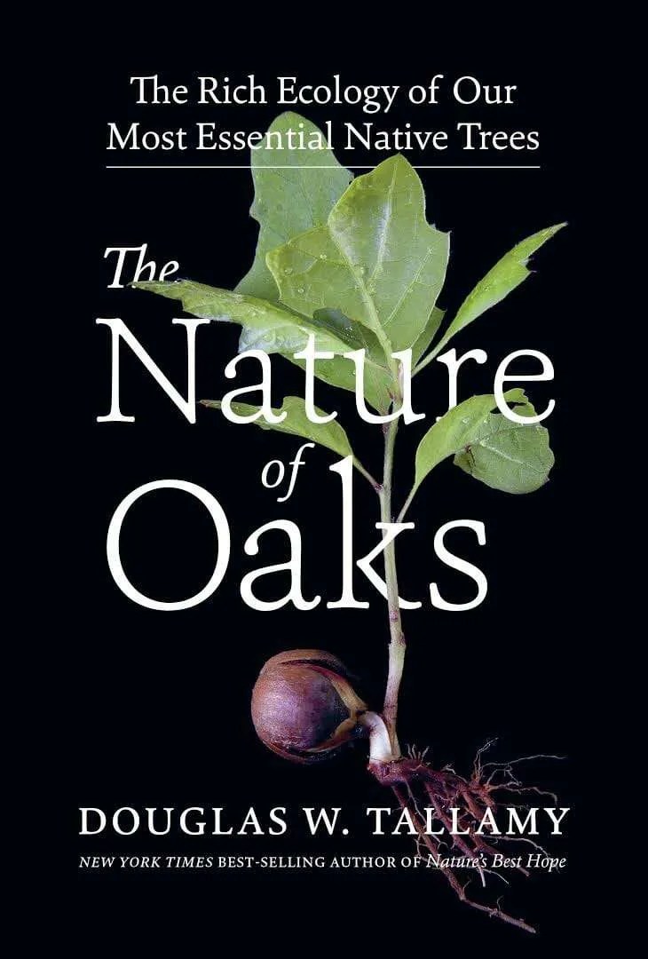 oaks the most powerful plant of all, with doug tallamy A Way To Garden