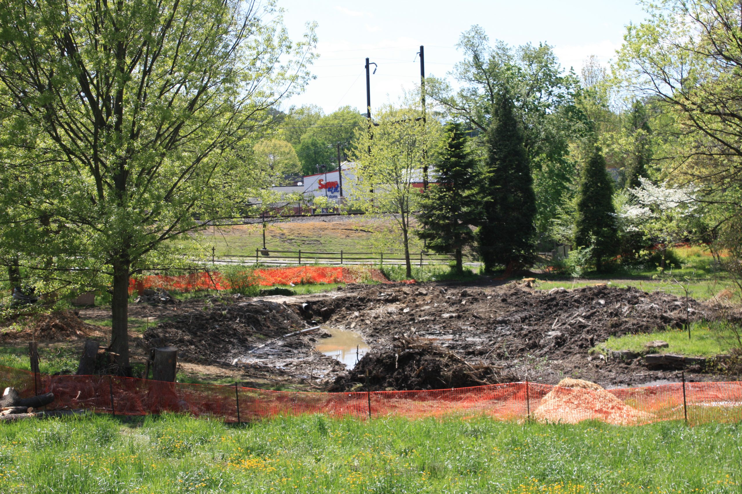Wetlands Restoration Is an Environmental Success Story Awbury