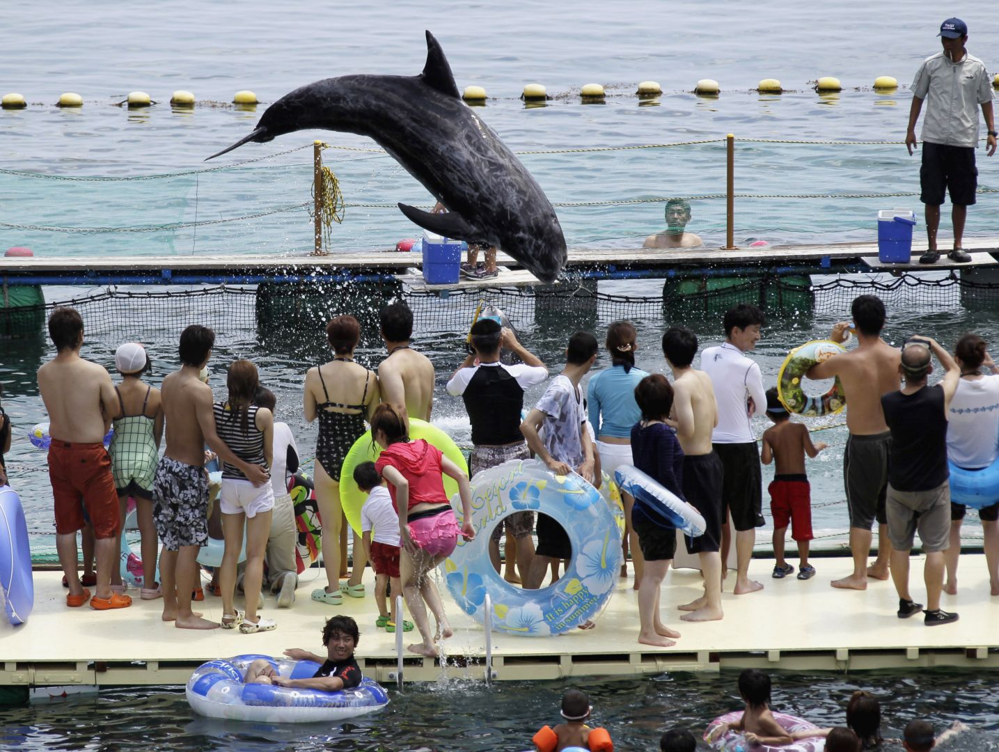 Japan Association Of Zoos And Aquariums Decide To Ban Collection Of