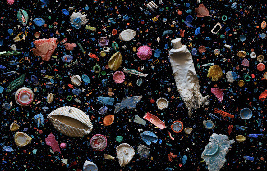 5 Unconventional Ways That Sea Creatures Use Plastic And Why We