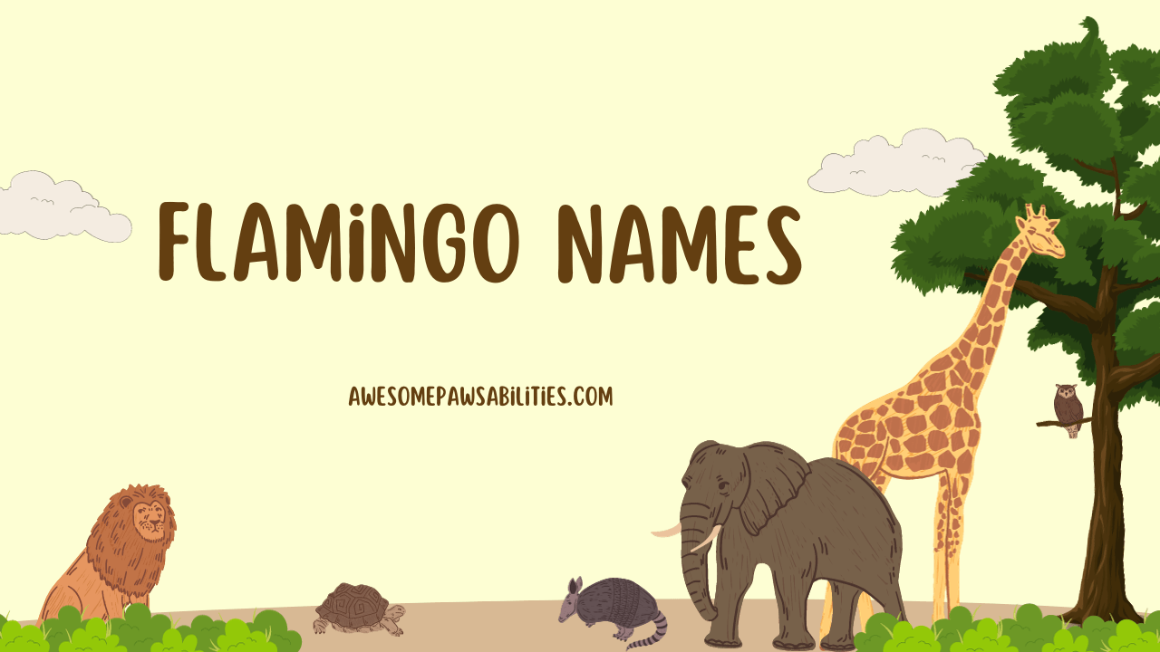 99+ Flamingo Names Baby, Famous Funny And Cute Ideas