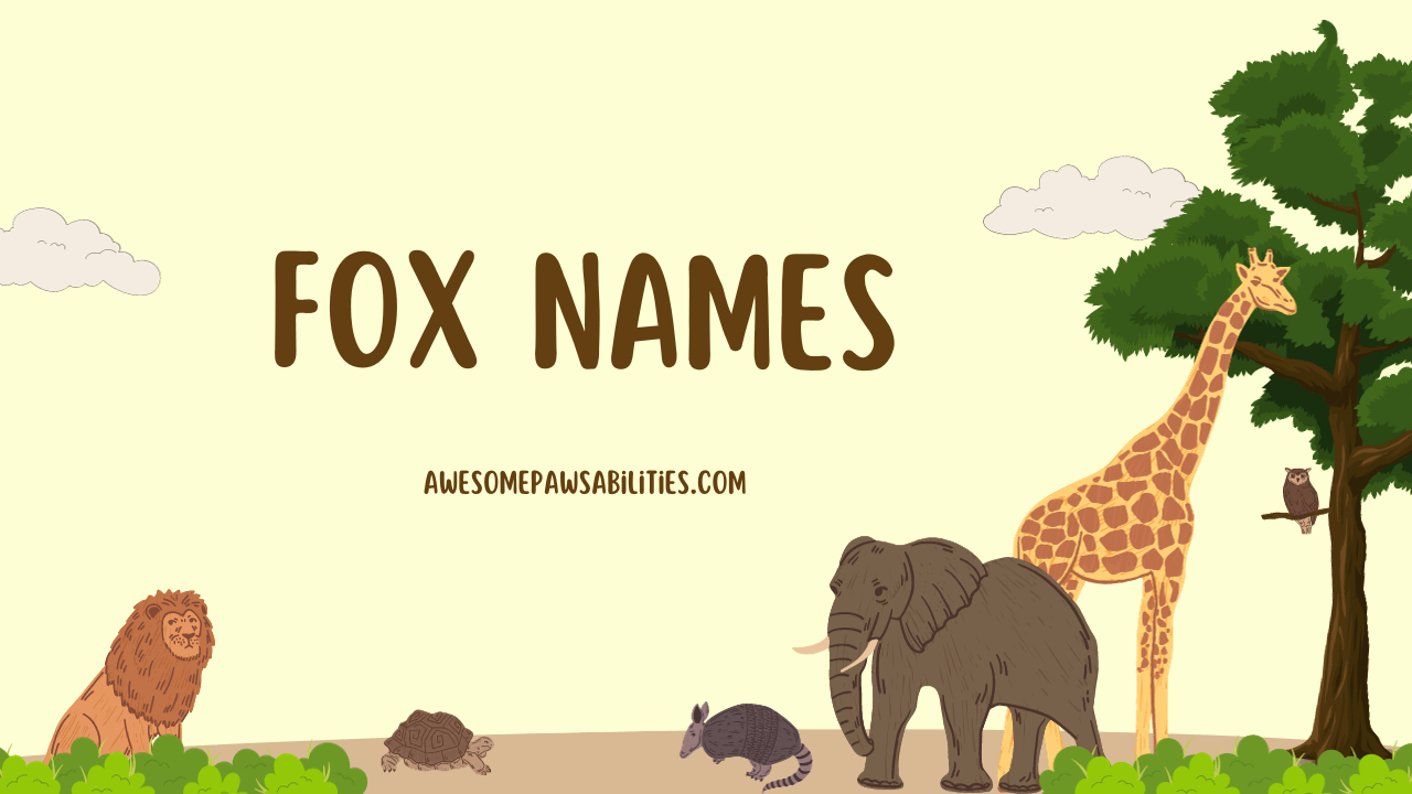 99+ Fox Names Famous, Funny, Mythical, And Cute Ideas