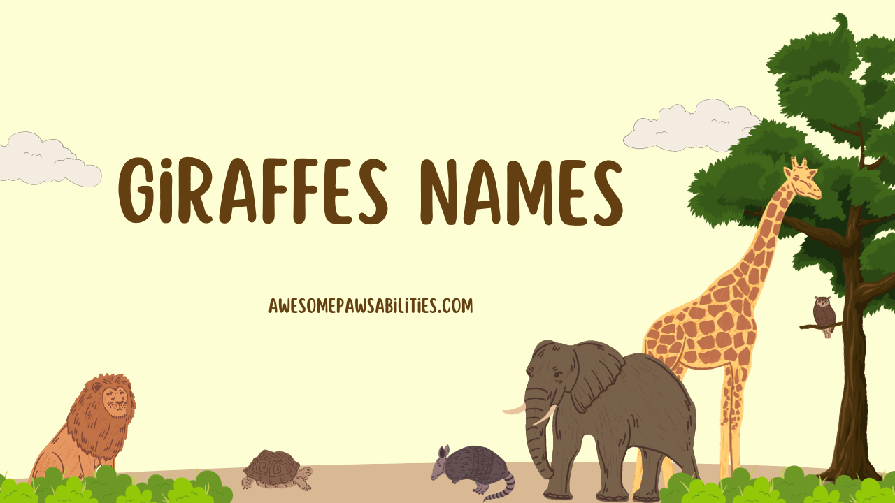 89+ Giraffes Names Famous, Baby, Funny, Cute And Ideas