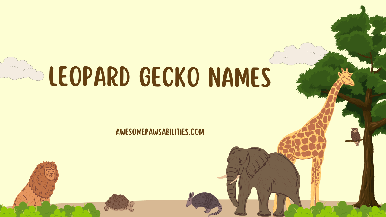 99+ Leopard Gecko Names Female, Male, Cute And Rare