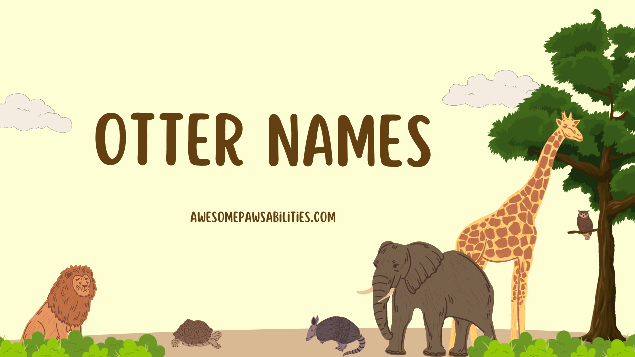 119+ Otter Names Cute, Male, Female, Baby, And Funny Ideas