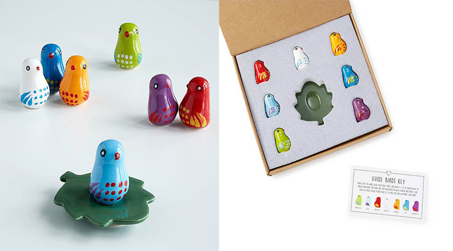 25 Gifts for Bird Lovers That Make Them Happy
