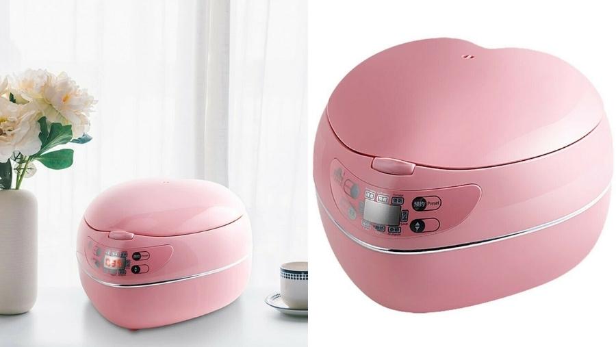 25 Best Mini Rice Cookers