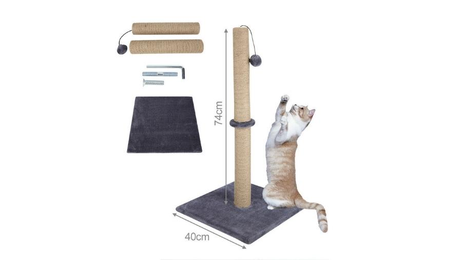 25 Useful Toys for Blind Cats You Should Buy