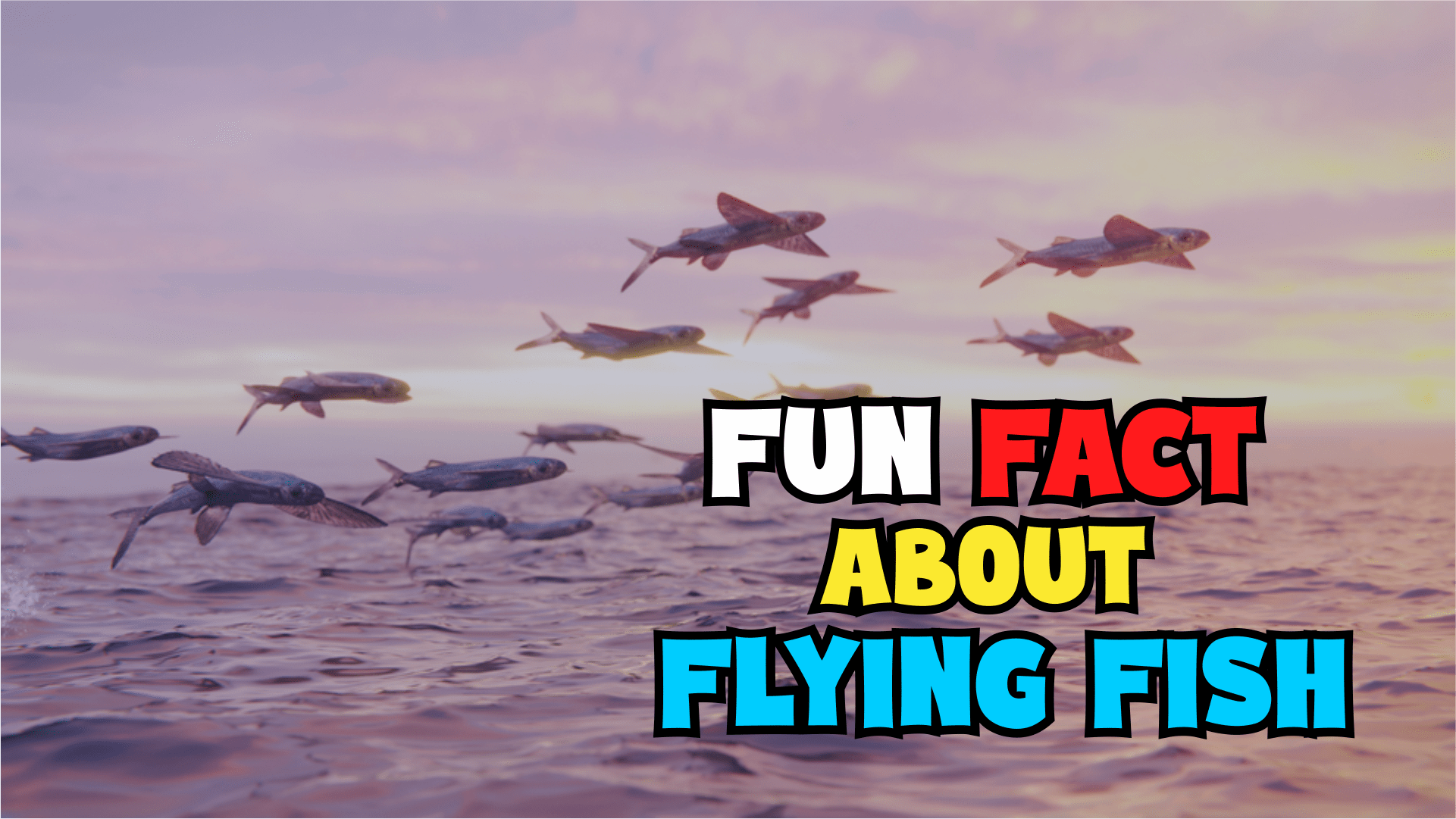 12 Incredible and Amazing Facts About Flying Fish