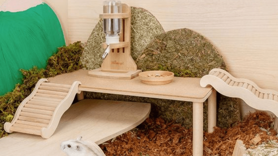 25 Amazing Hamster Habitat Ideas for a Happy Hamster
