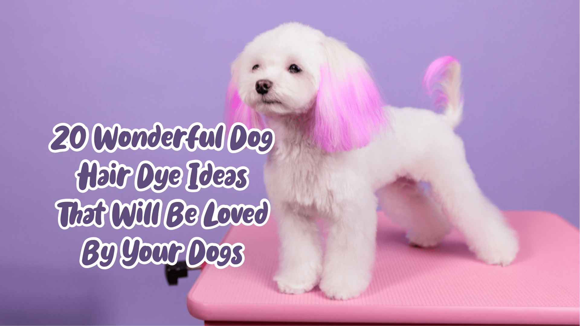 25 Wonderful Dog Hair Dye Ideas That Will Be Loved By Your Dogs