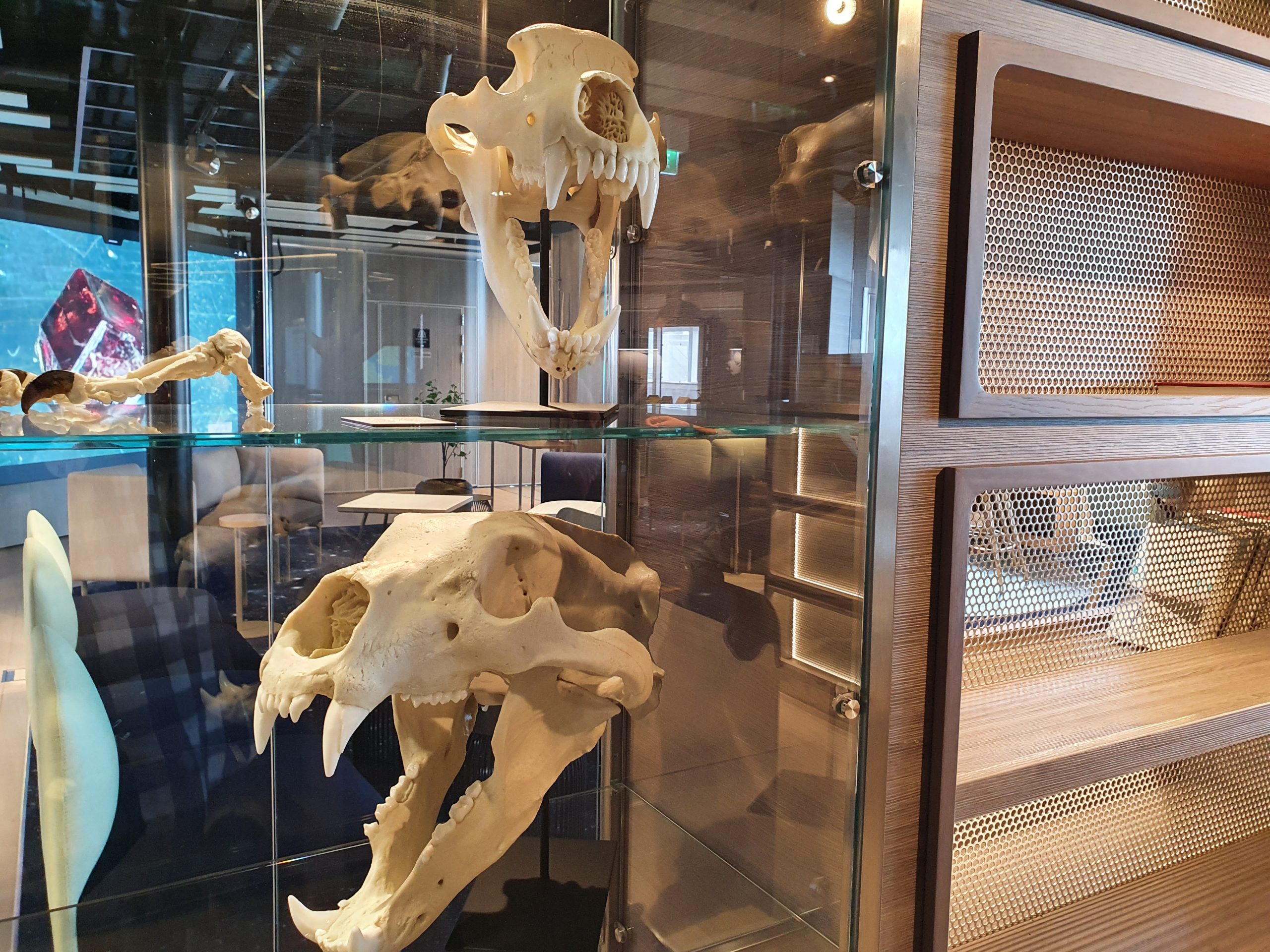 Fridtjof Nansen Displays in the Nansen Science Centre