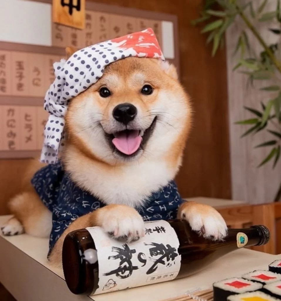 Why Is Akita Banned In Singapore