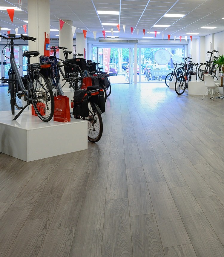 Fietsenwinkel Den Bosch » E-Bike Testcenter - Stella