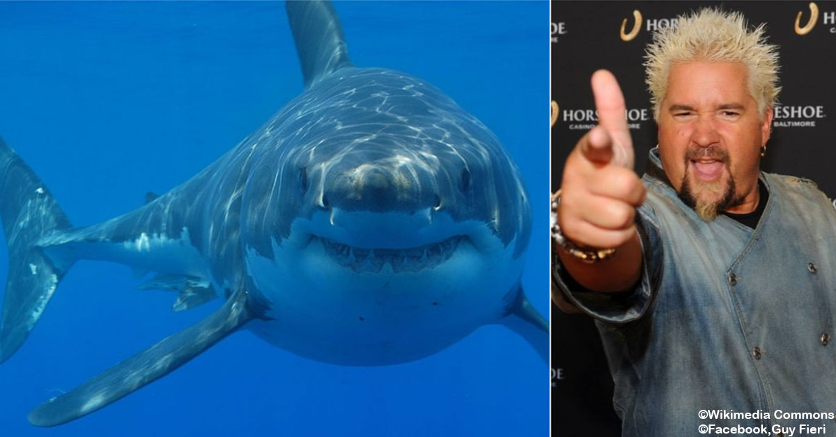 7 Times Someone Almost Died While Filming 'Shark Week'