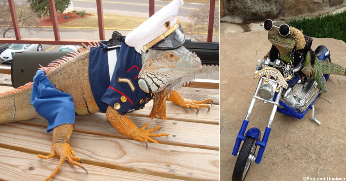 Lizard Costumes Are All the Rage. It's Time to Get on Board.
