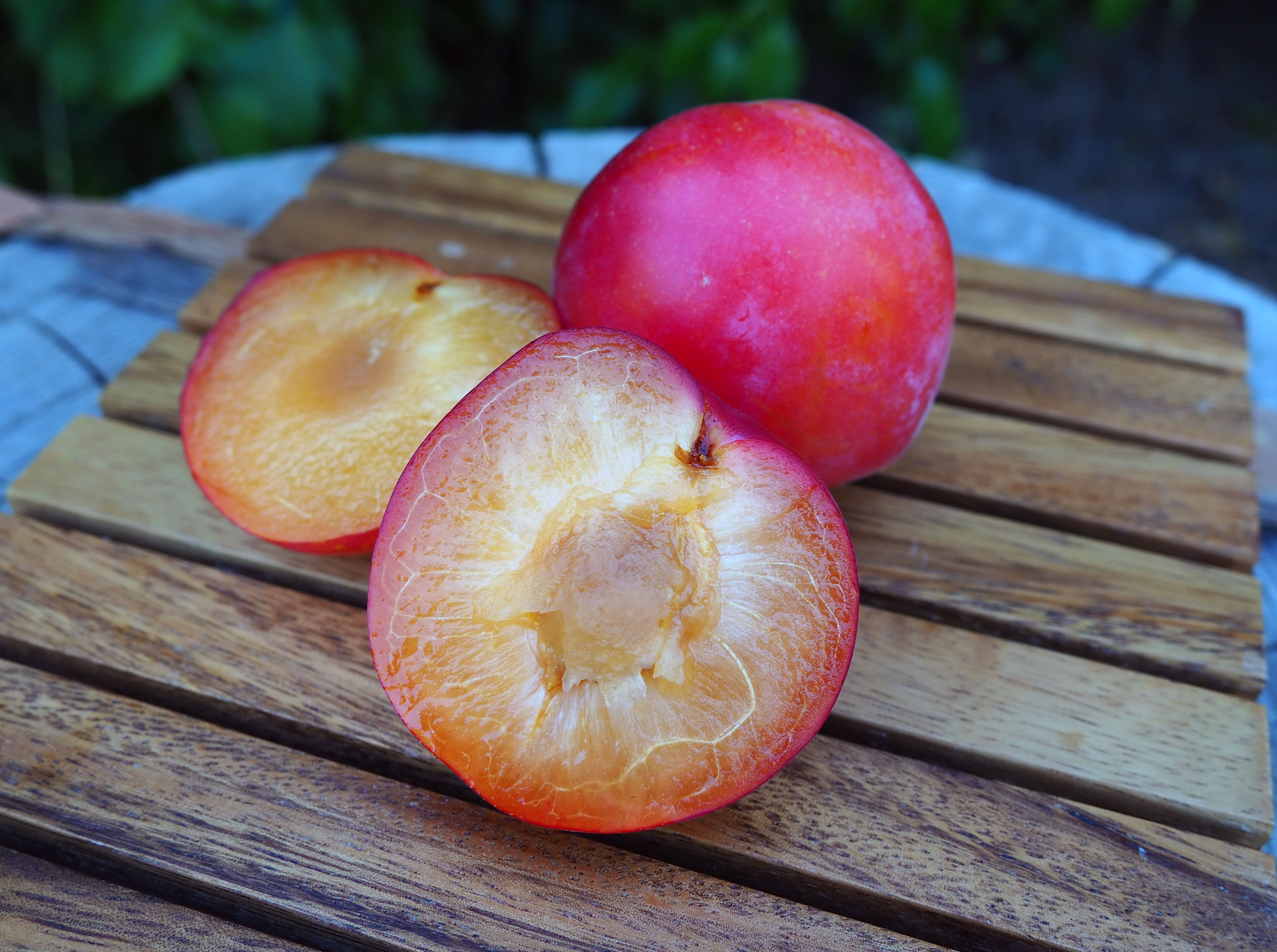 Apriums and Plumcots and Pluots, Oh My! awkward botany