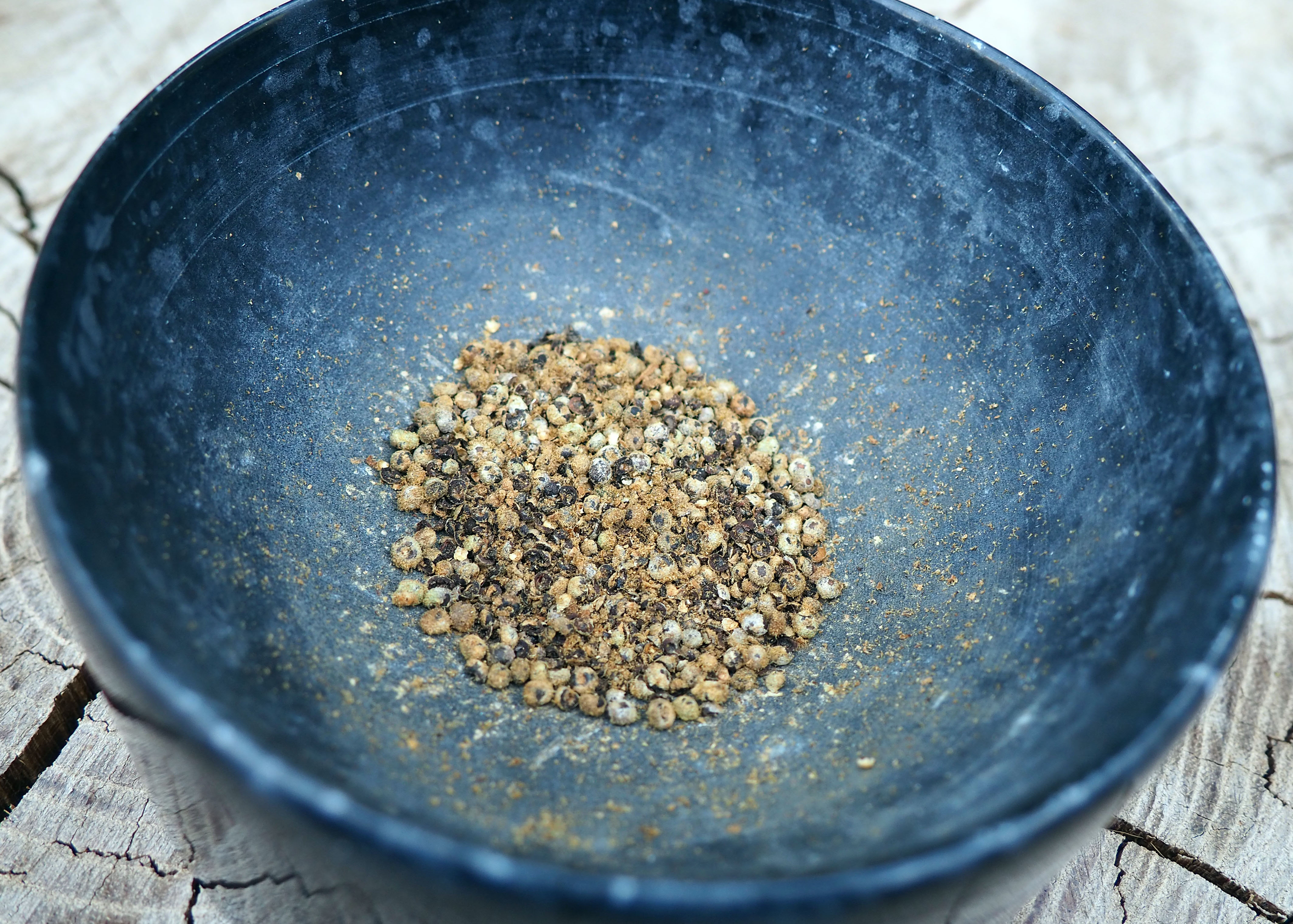 Eating Weeds Cleavers Coffee awkward botany