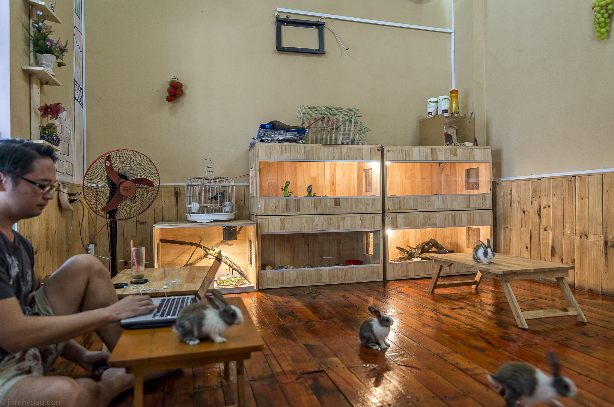 Ho Chi Minh The 5 Best And Weirdest Cafes To Explore