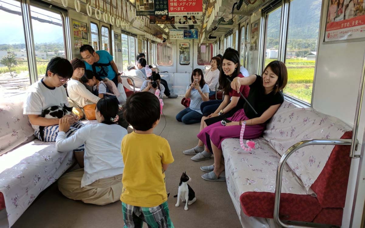 Japan's Cat Cafe Train Just Made Its Maiden Journey Between Ogaki and Ikeno