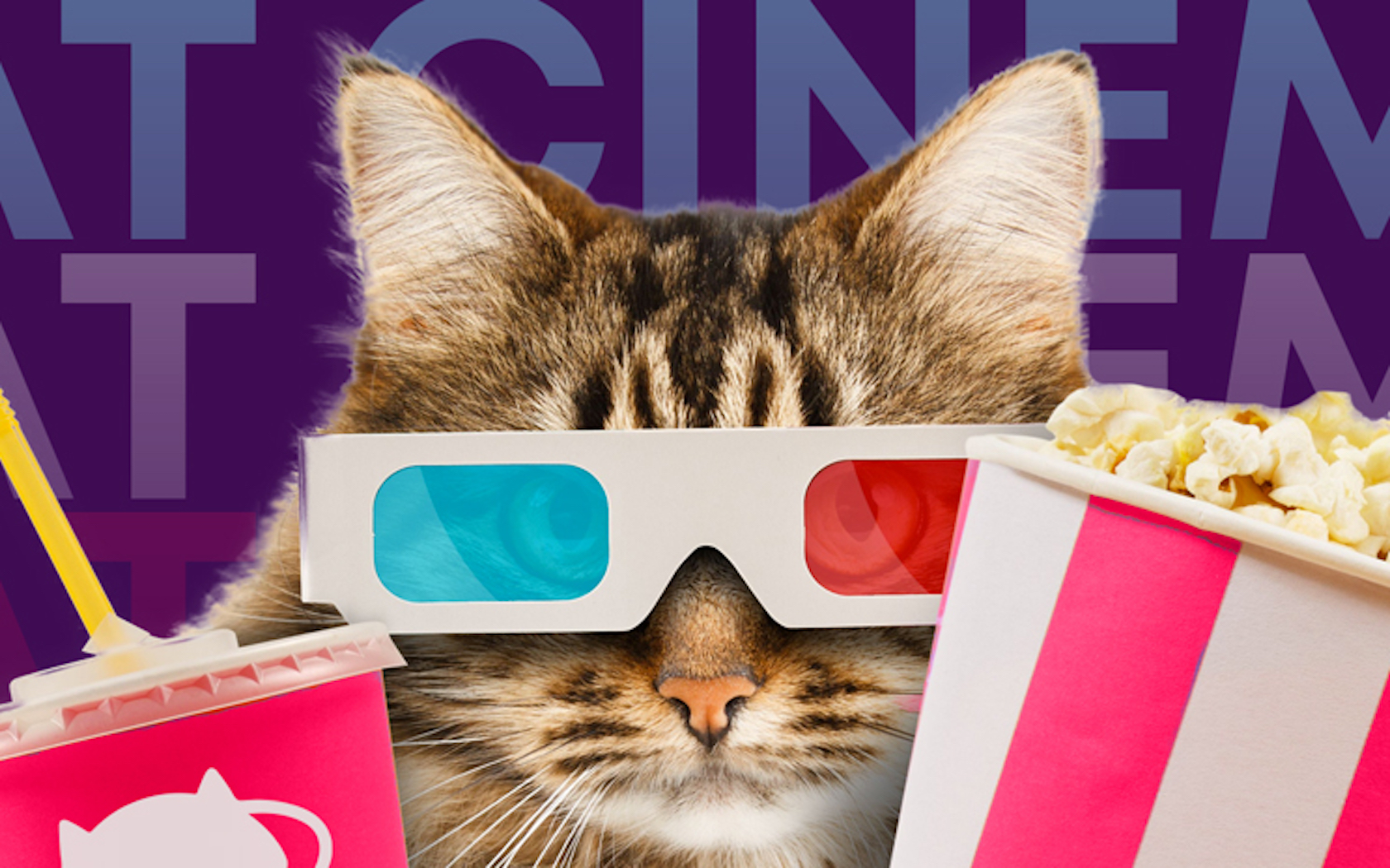 Inspirasi Cat Cafe Opening Hours