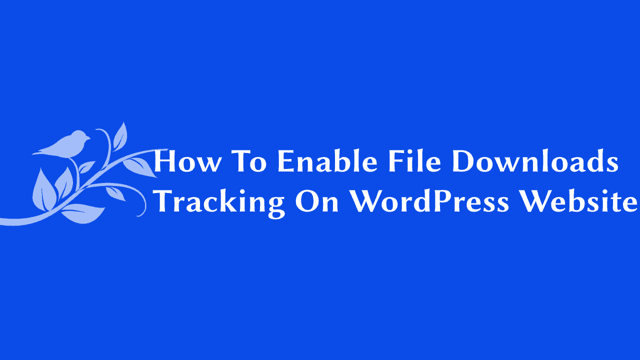 How To Enable File Downloads Tracking On WordPress (2021)
