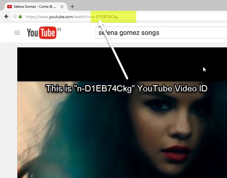 Get YouTube Video Id A WP Life