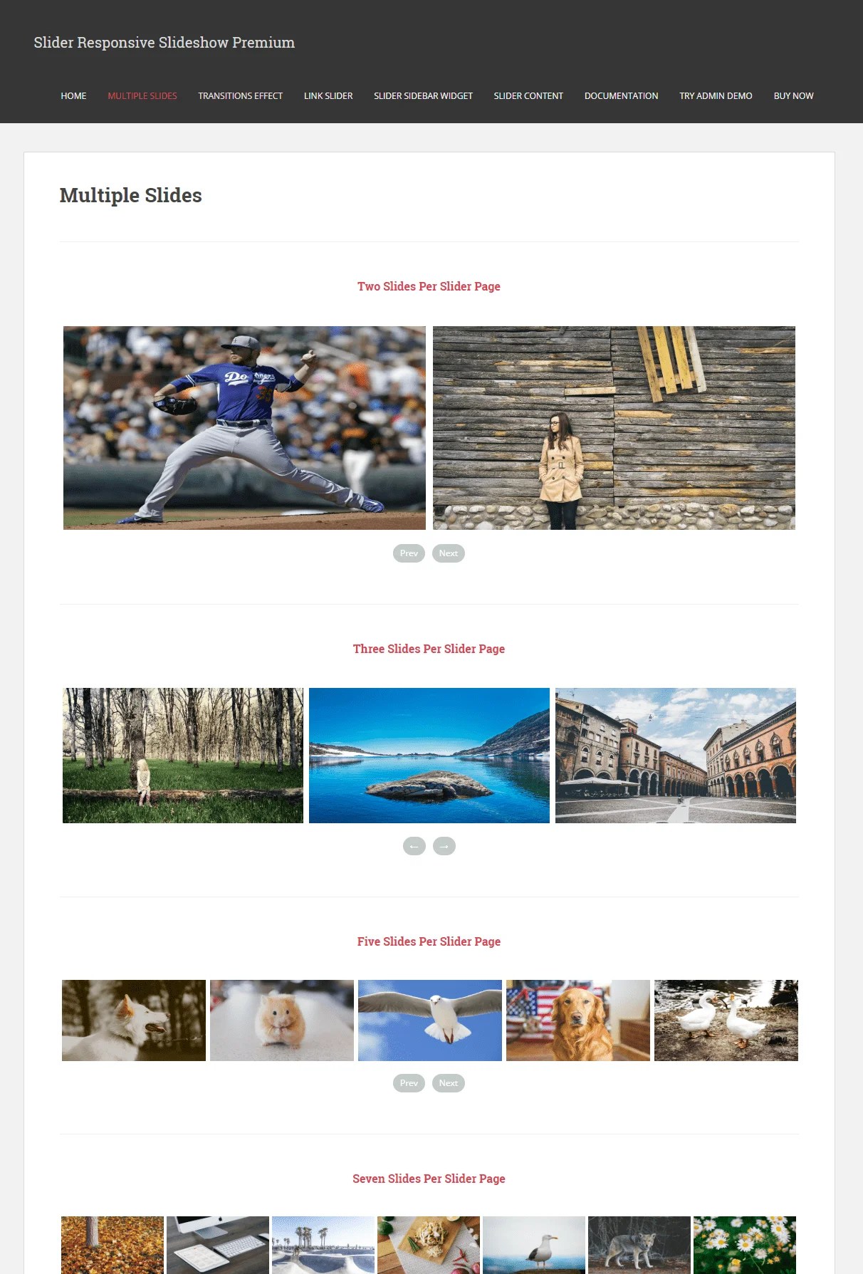 Slider Responsive Slideshow WordPress Plugin A WP Life Themes