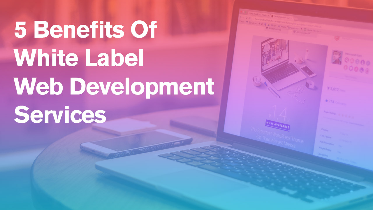 5 Benefits Of White Label Web Development Services