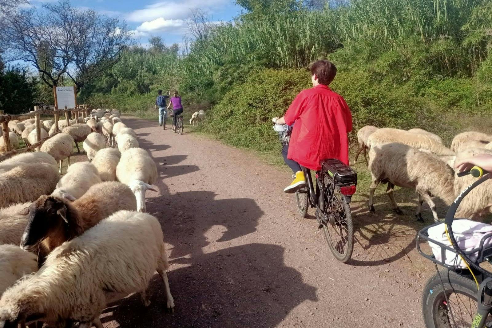 Appia Antica, Aqueducts & Catacombs Rome: E-Bike Tour
