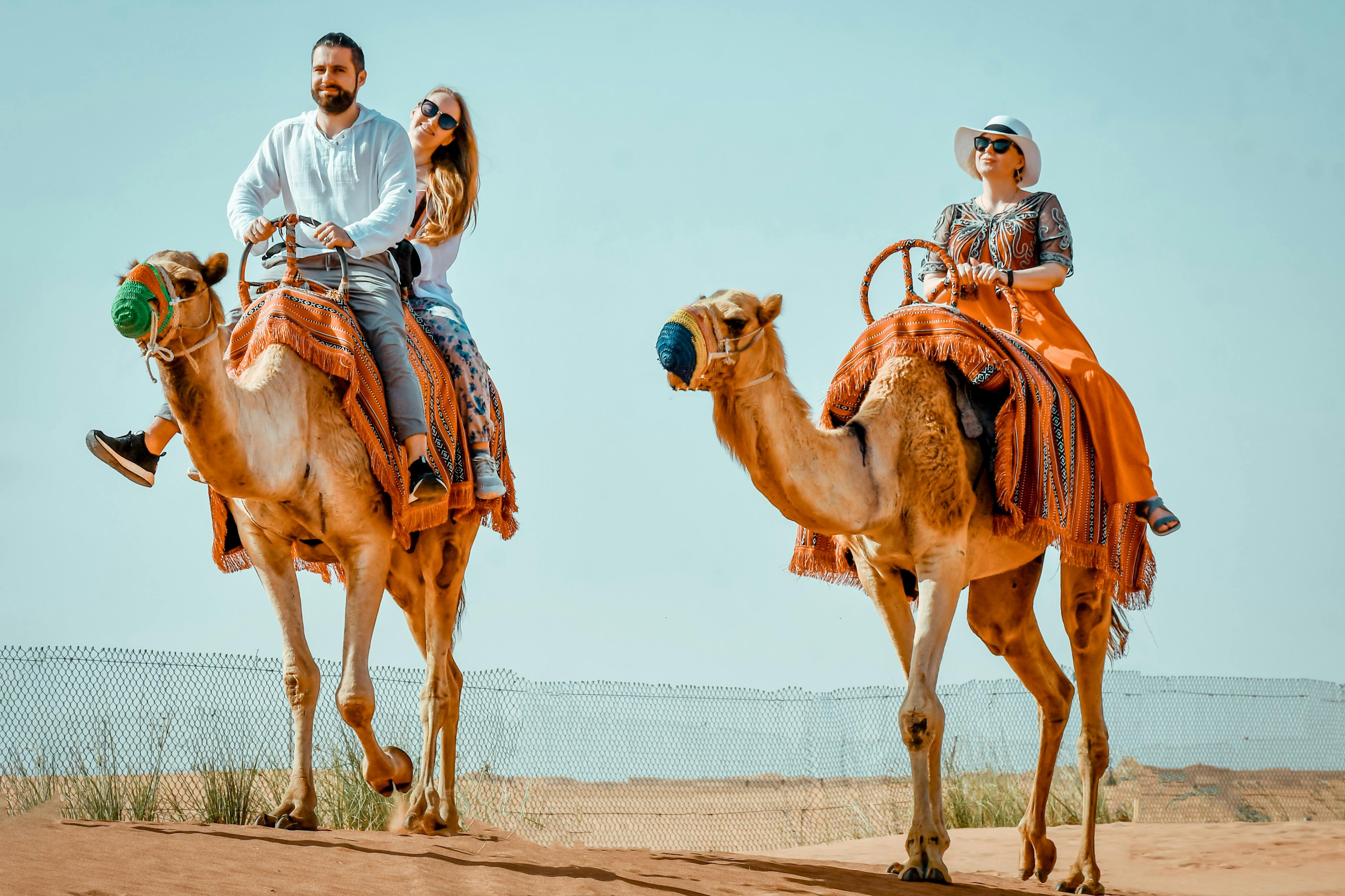 Dubai: Budget Desert Safari Activities