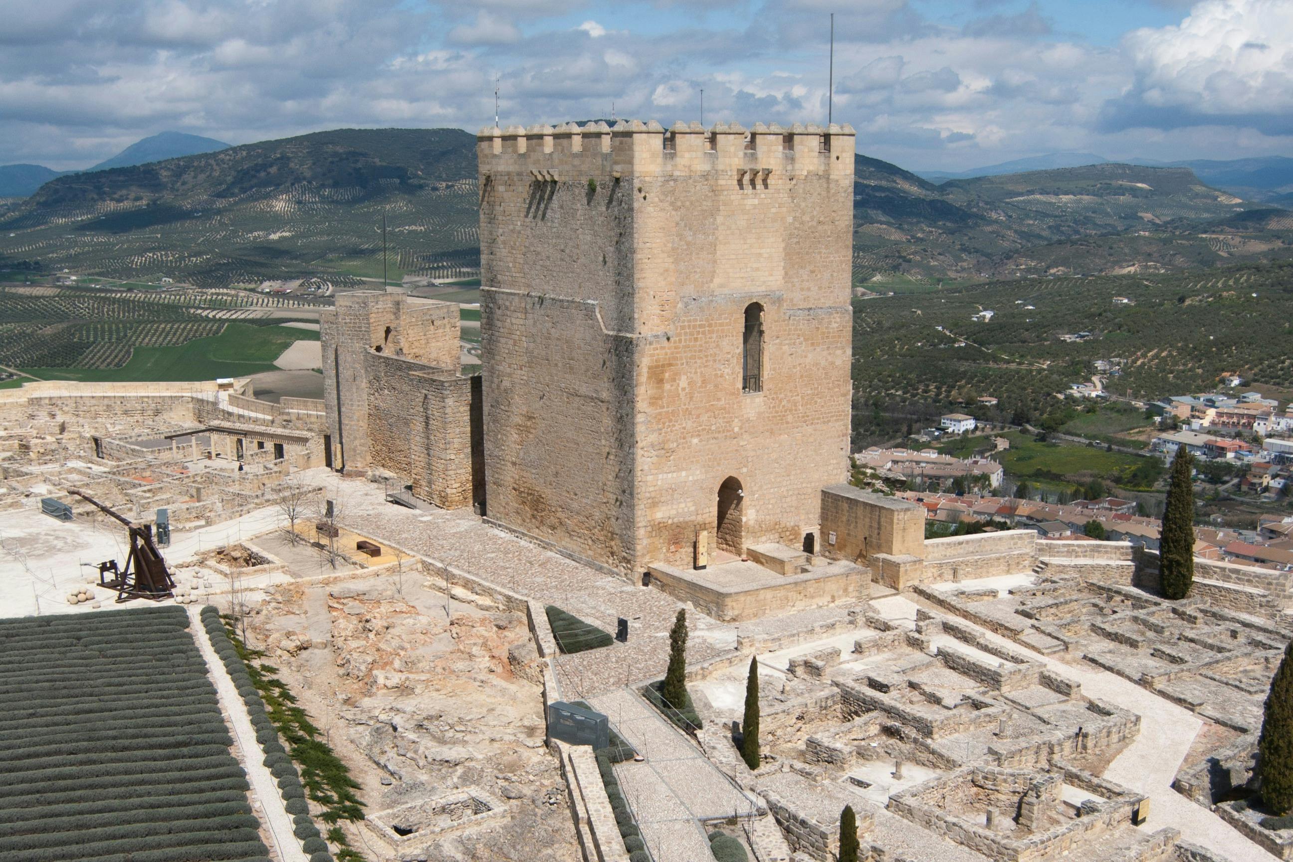 Fortaleza de La Mota: Guided Tour