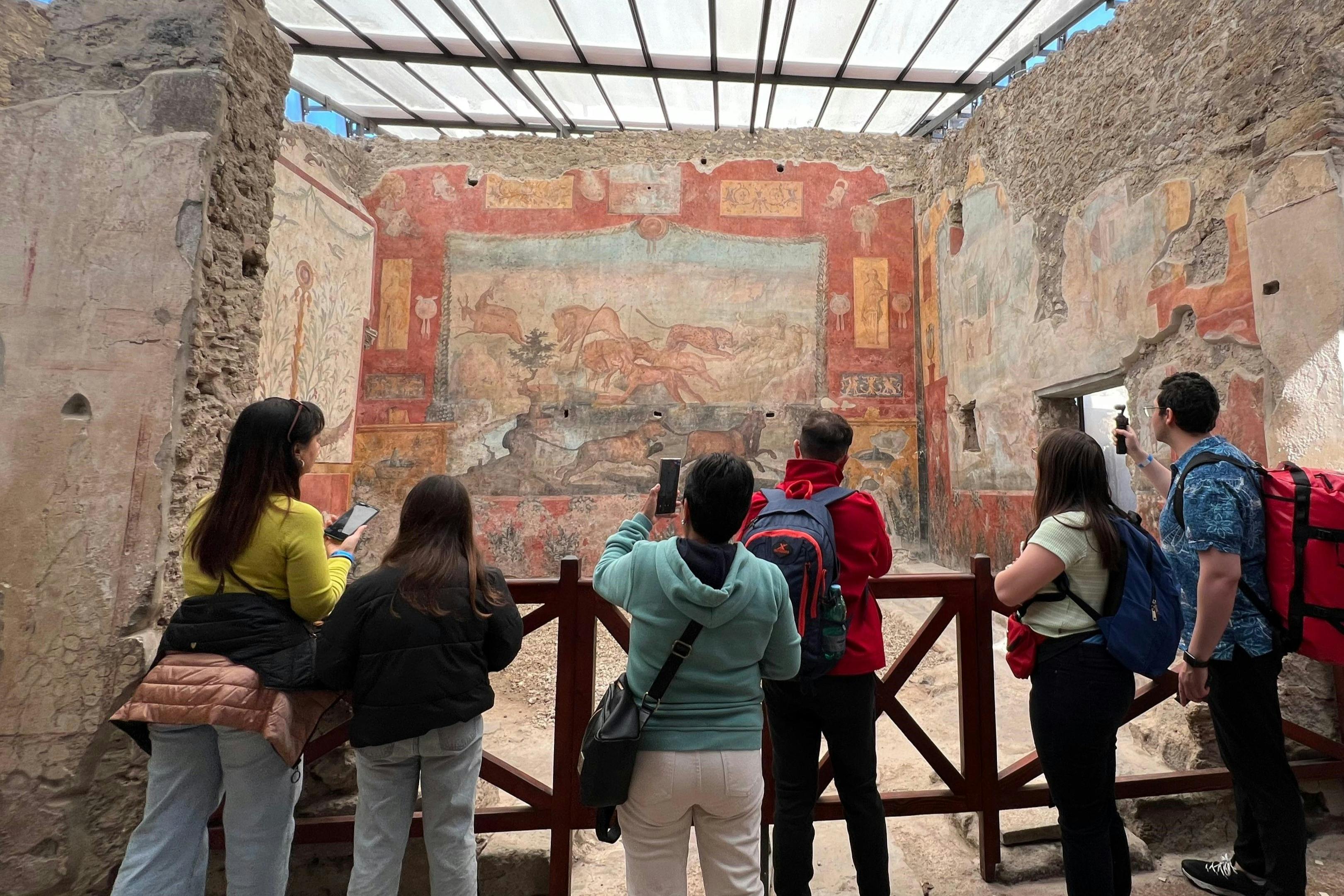 Pompeii: Skip The Line Entry Ticket + Guided Tour from Naples