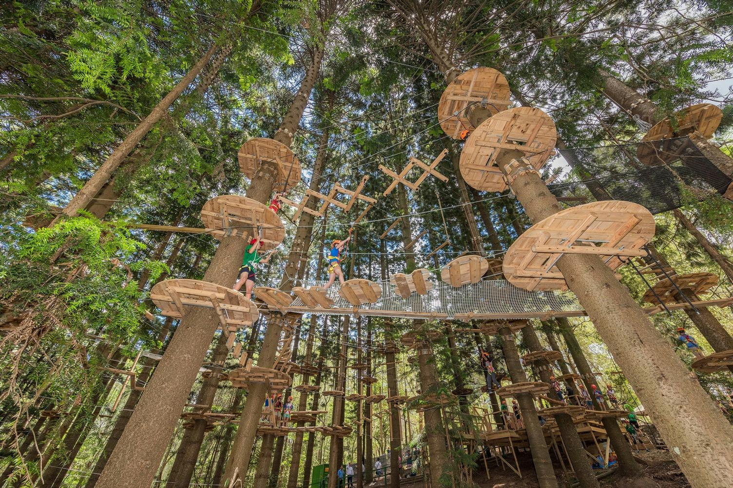 Treetops Adventure The Hills Entry Ticket