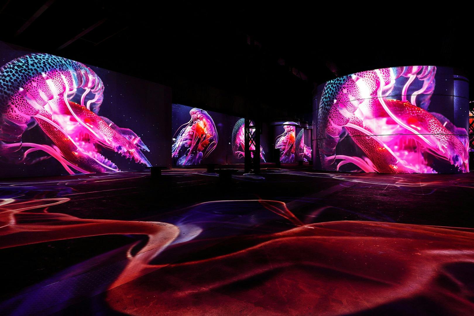 Phoenix des Lumières: The Wonders of the Ocean - An Immersive Dive