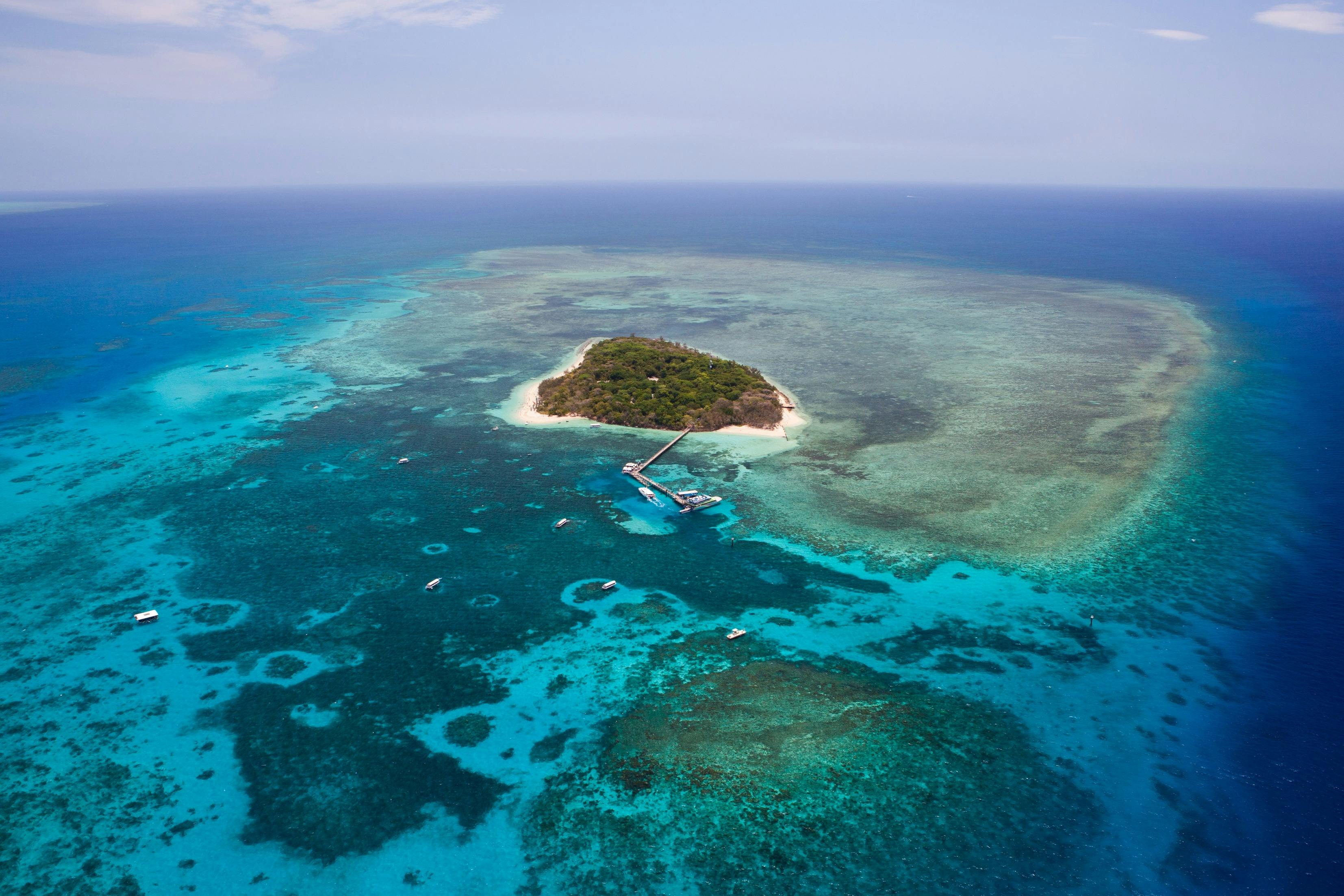 Green Island: 40-Min Guided Flight + Boat Cruise from Cairns + Lunch