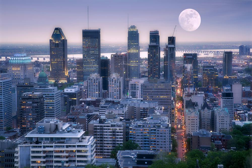 Montreal: Scenic Night Tour + La Grande Roue de Montreal Entry Ticket