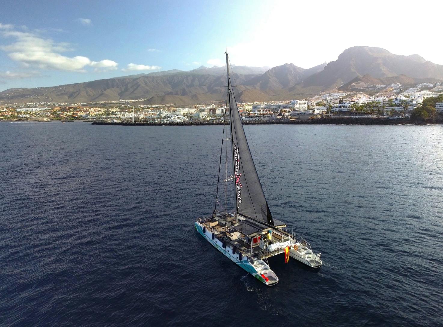 Tenerife: 3-Hour Whale & Dolphin Watching Eco-Catamaran Tour