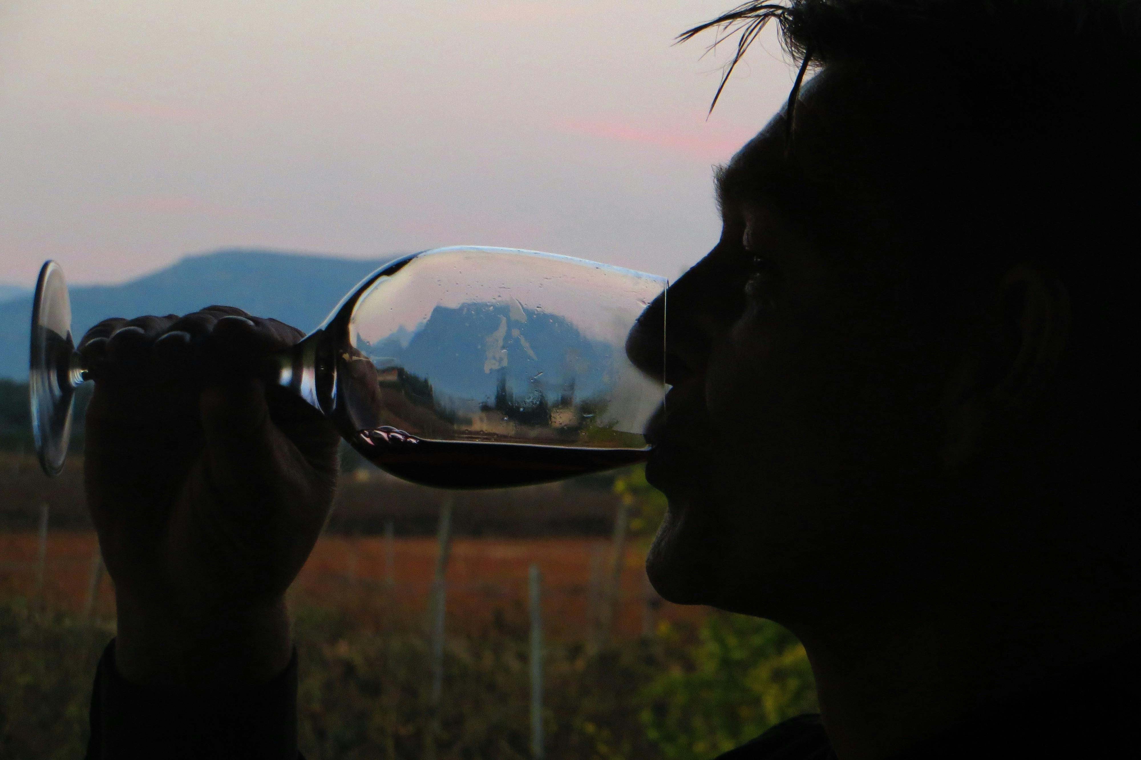 Mallorca: Guided Winery Tour + Transfer + Wine Tasting