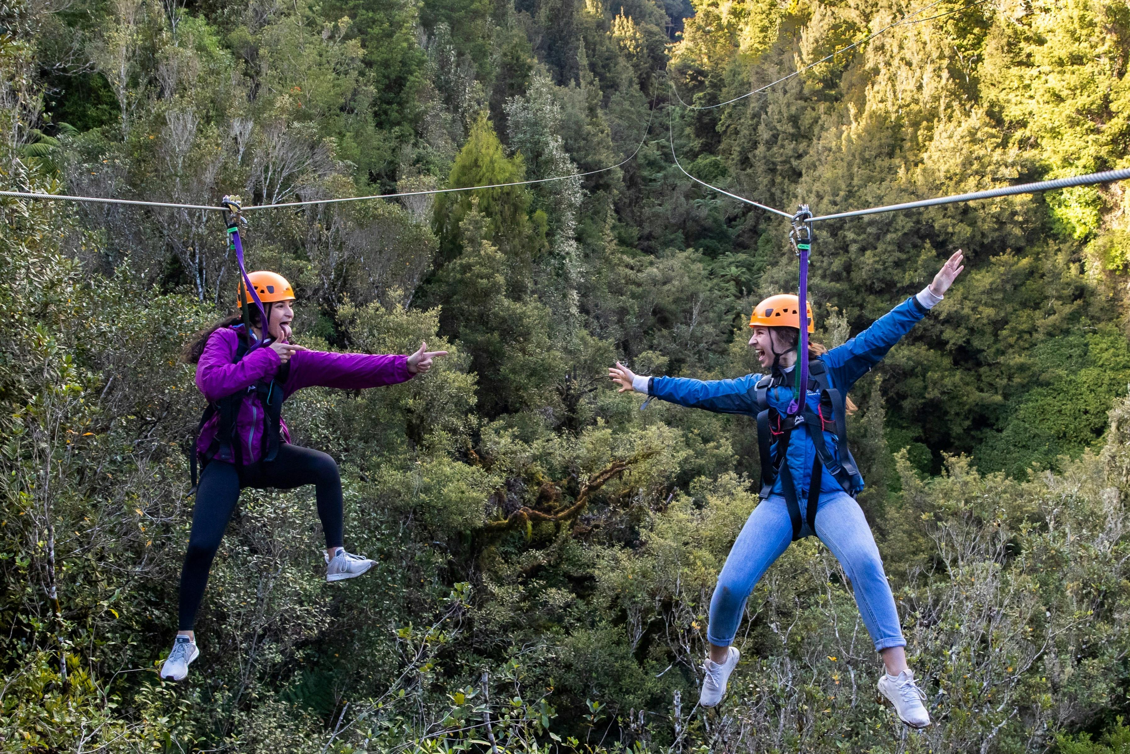 Rotorua: Guided Zipline Adventure + Hotel Transfer
