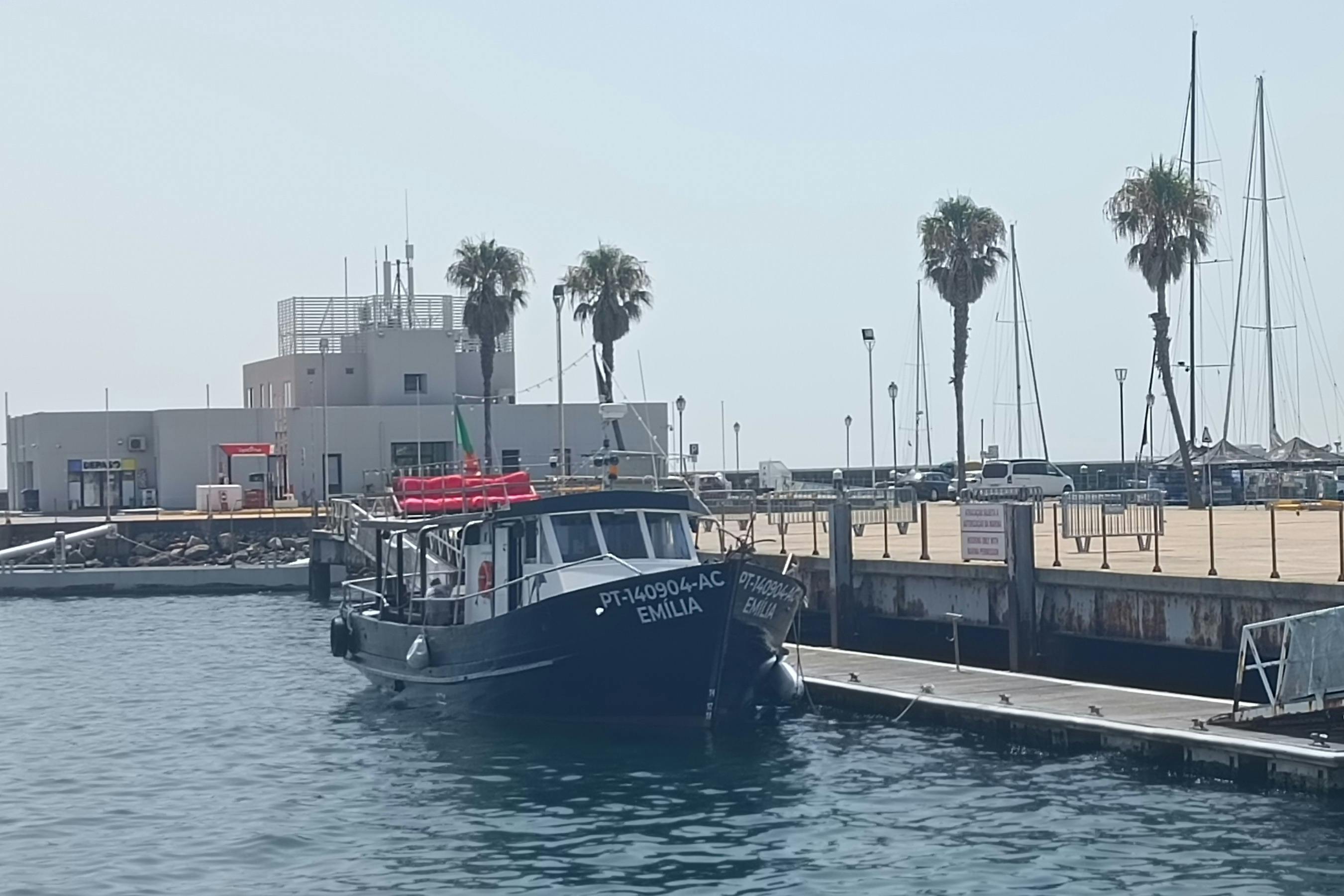 Cascais: Guided Coastal Cruise + Drinks