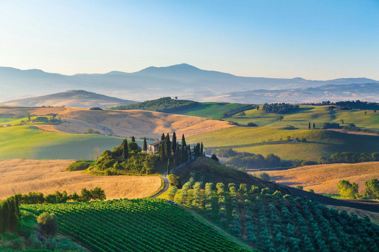 Pienza & Montepulciano: Day Trip from Florence + Montalcino Wine Tasting