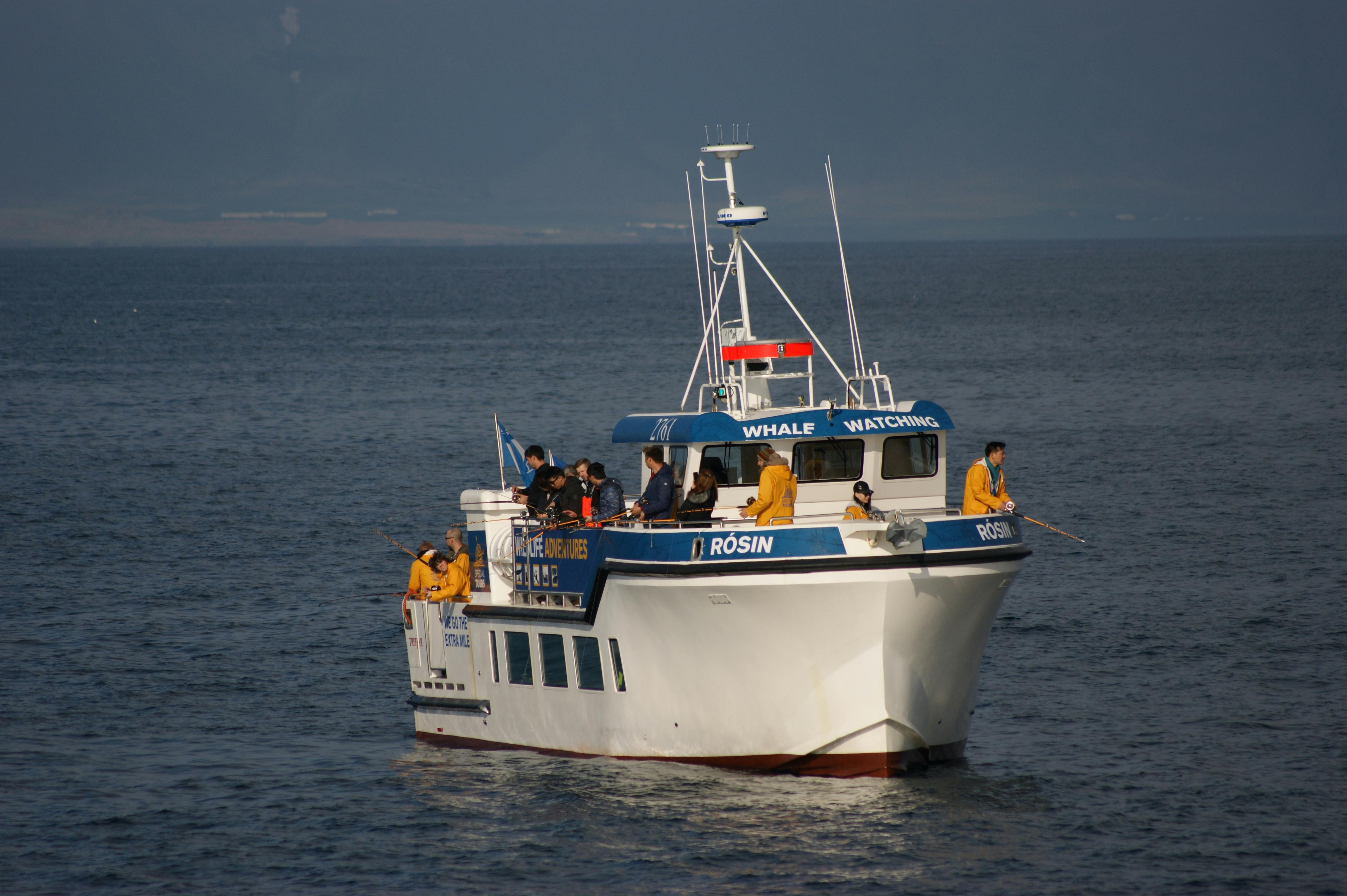 Reykjavik: Sea Fishing Boat Trip