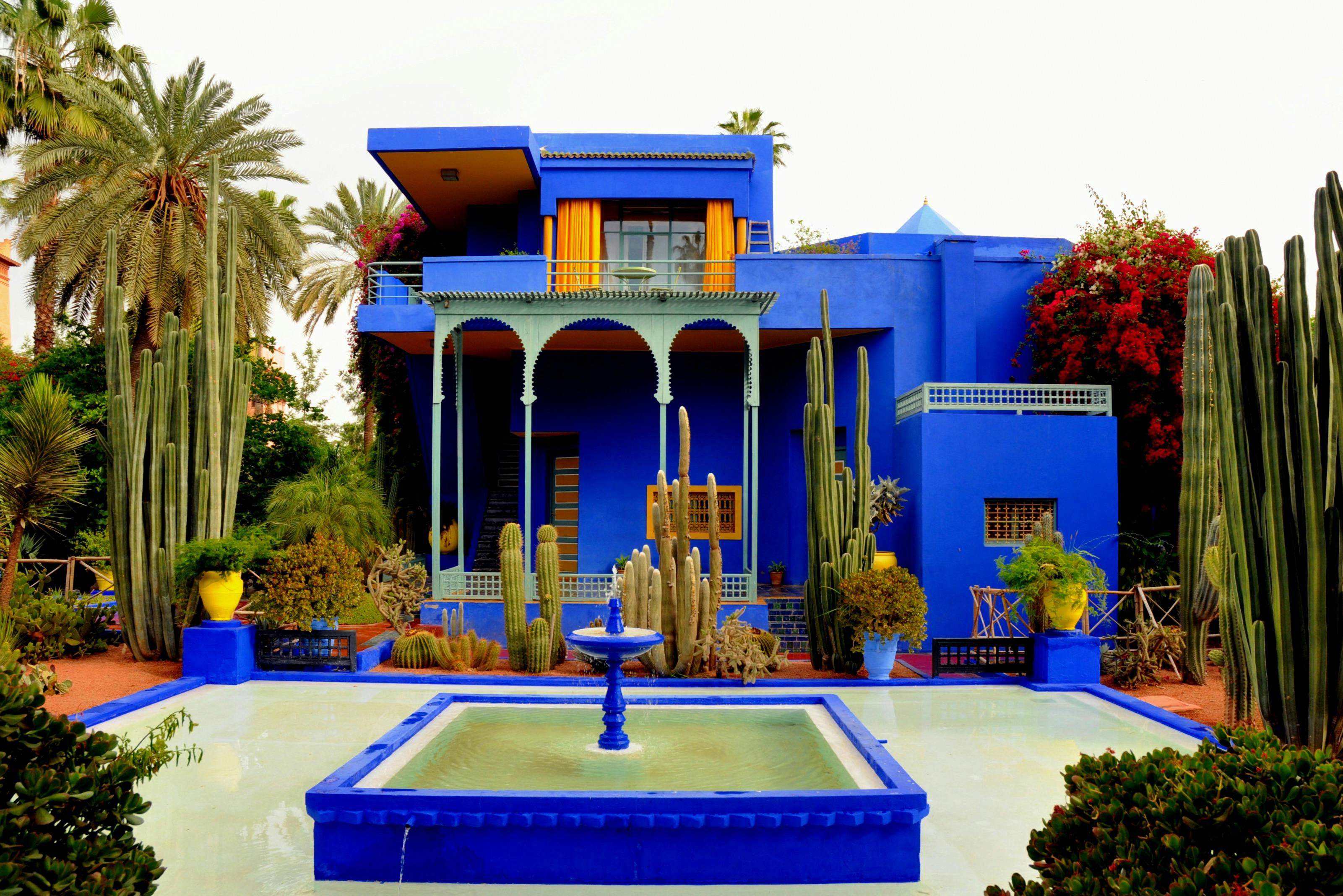 Marrakesh: Jardin Majorelle Guided Tour + Transfers