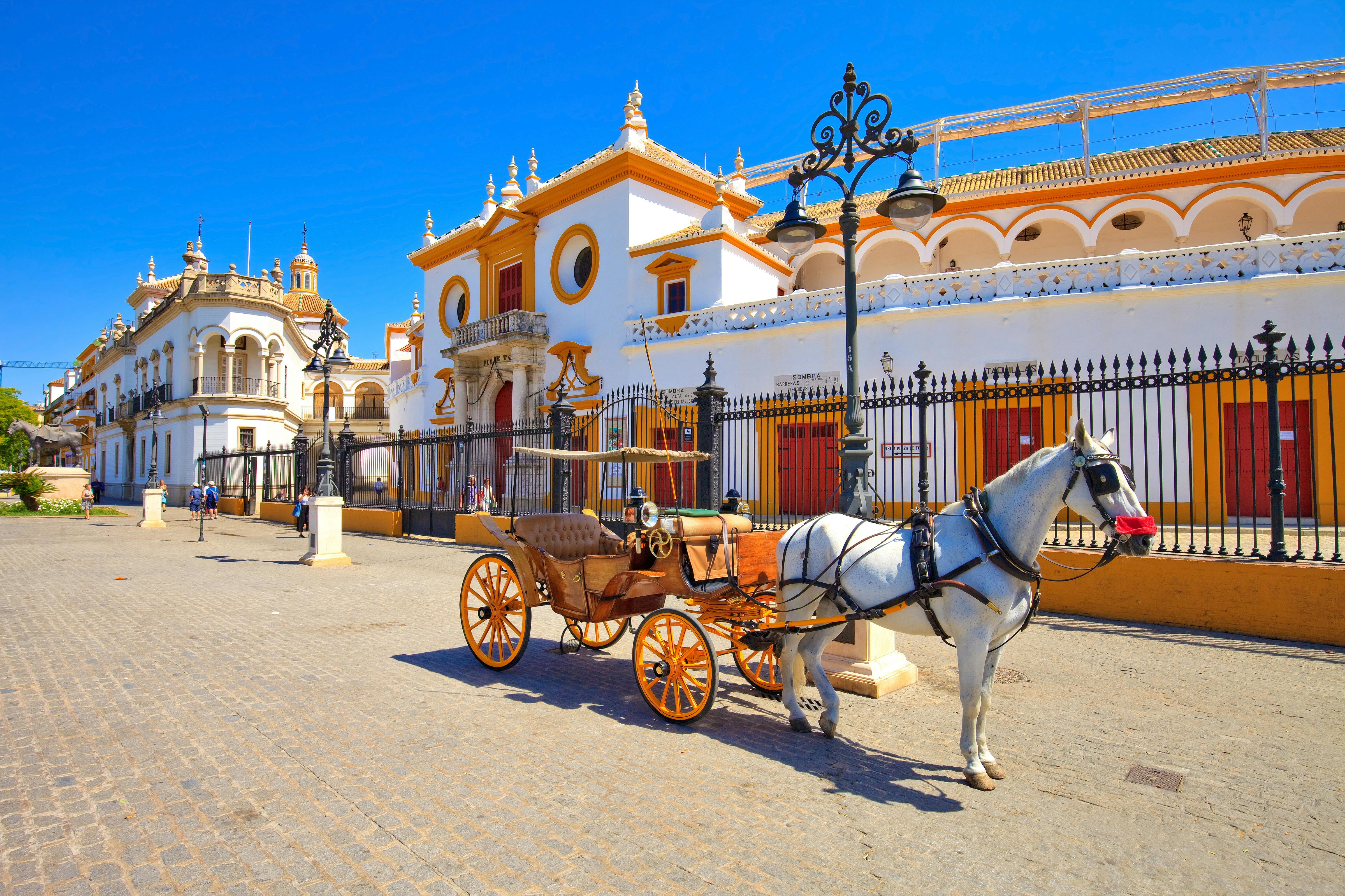 Seville Highlights:  Free Guided Tour