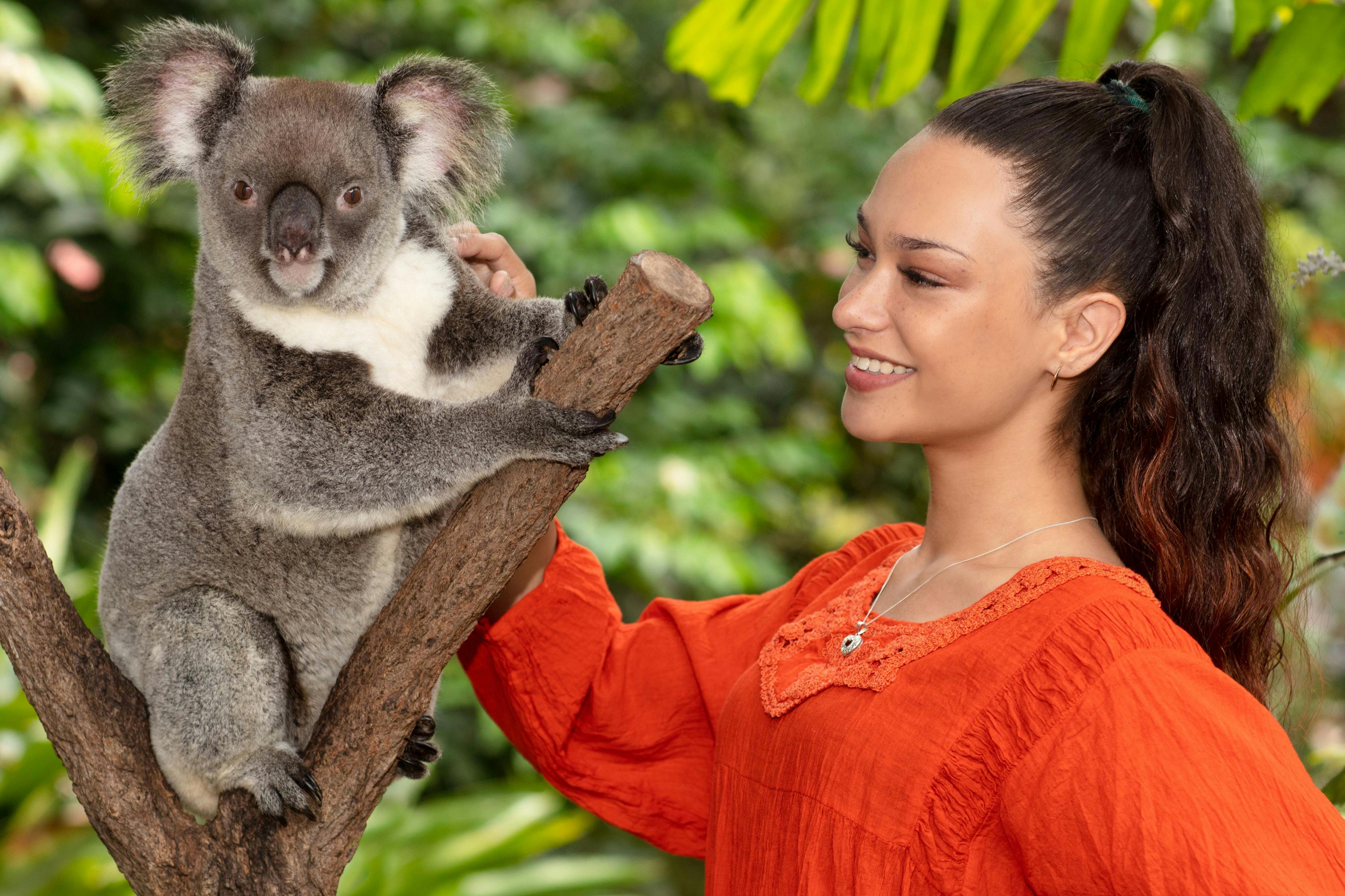 Kuranda Koala Gardens, Birdworld Kuranda & Australian Butterfly Sanctuary: Entry