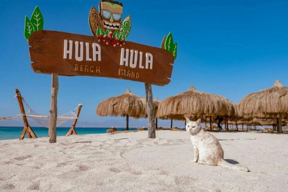 Hula Hula Island Snorkeling Sea Trip Full Day & Lunch - Hurghada