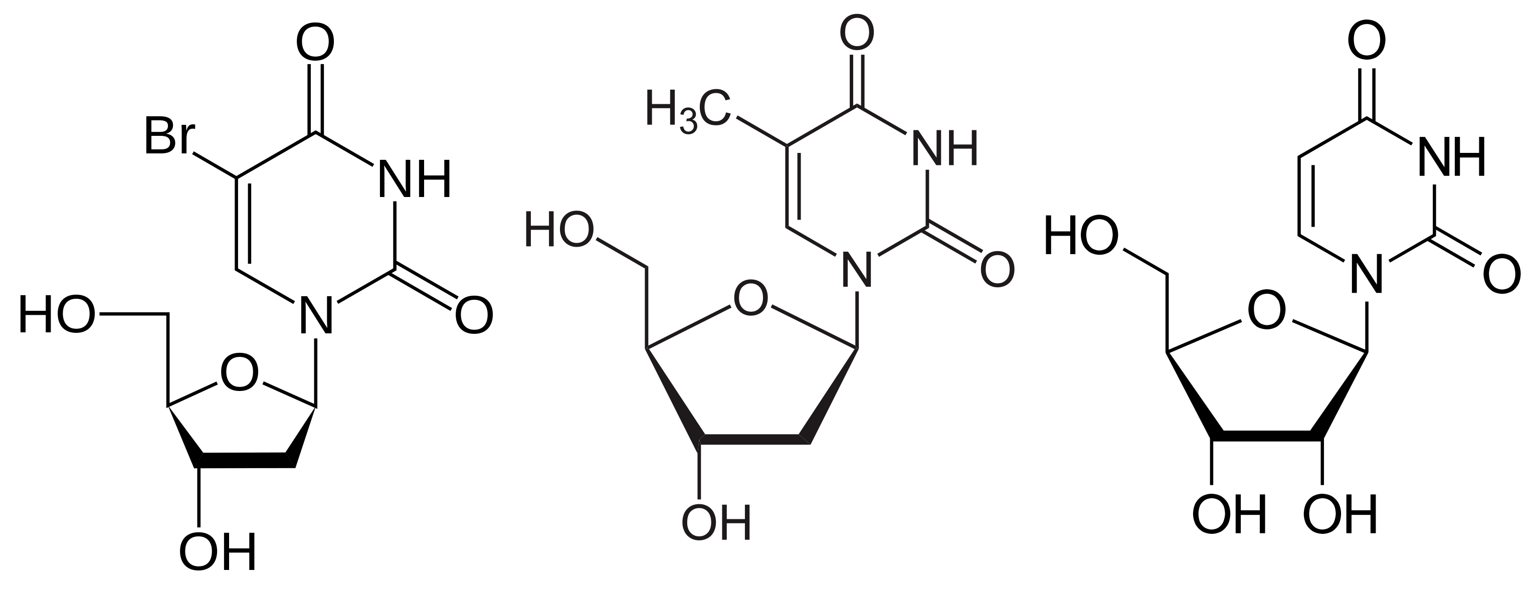Kappa Light Chain Myeloma Wikipedia Shelly Lighting