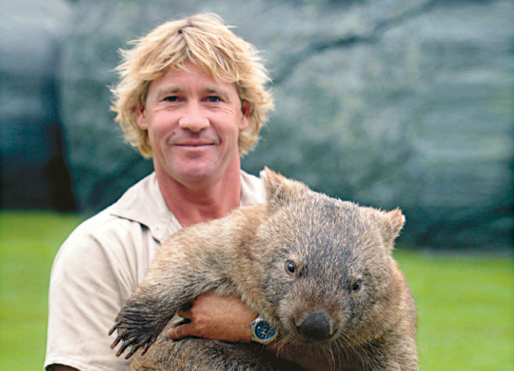 Steve Irwin Topnotcher Personal site Photo Exhibition