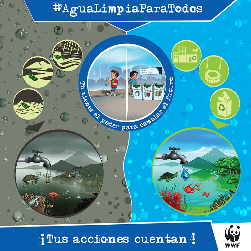 Relación entre reciclaje y conservación de cuerpos de agua WWF